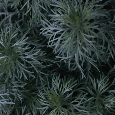 

WPL C64 C64-1 Металлическая тяга шасси передней и задней оси, тяга, крепление боковой педали, комплект шин 1/16, детали для обновления радиоуправляемого автомобиля