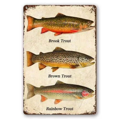 Fish Rainbow Trout Brook Trout Brown Trout Metal Tin Signs, Vintage Wall 8x12