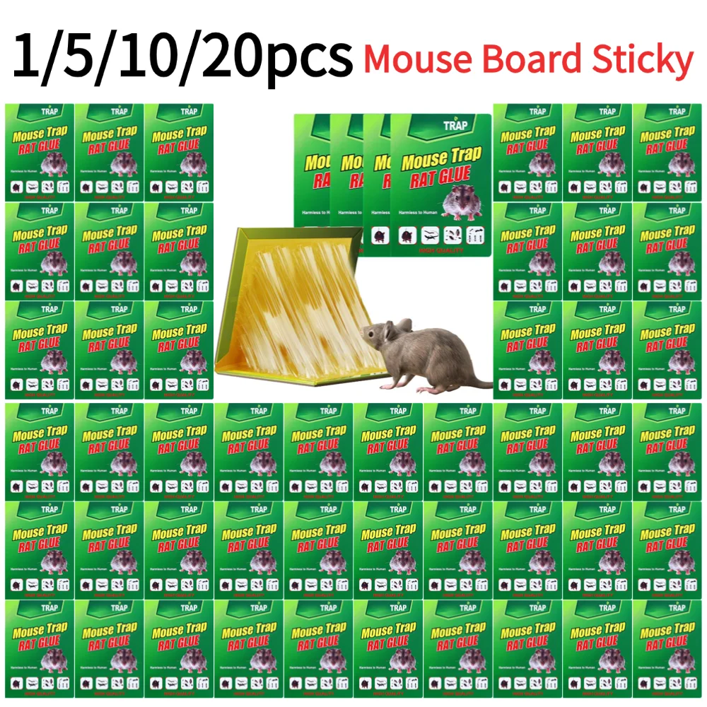 1/5/10/20 pièces panneau de souris collant Rat colle souris adhésive colle conseil souris receveur piège Non toxique lutte antiparasitaire pour Restaurant