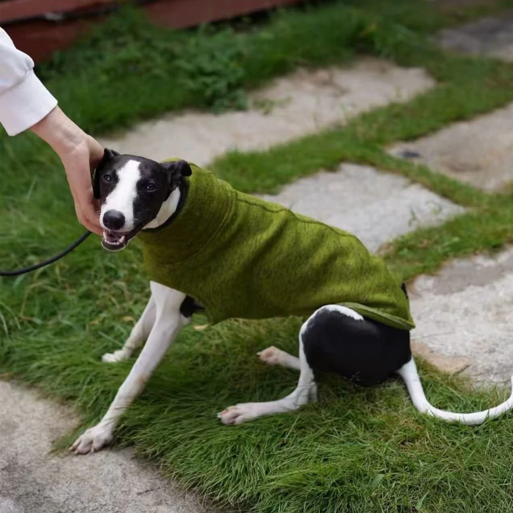 Chaleco de invierno de cuello alto de lana de Color sólido para galgo italiano abrigo cálido elástico de otoño para disfraz de Whippet Saluki ropa de moda