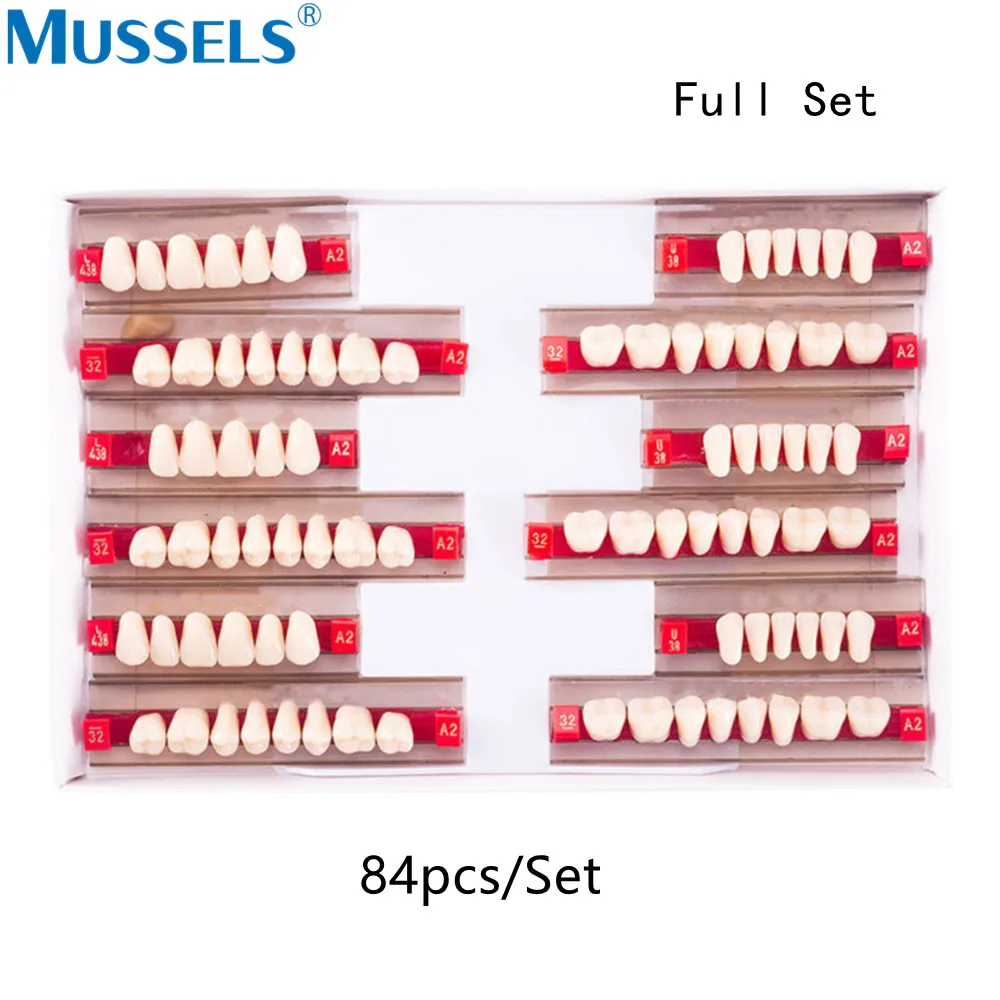 84/96 Buah Gigi Resin Sintetis Akrilik Gigi Komposit Palsu Palsu Gigi Tiruan Mulut Penuh Posterior Atas Bawah Anterior S/M/L