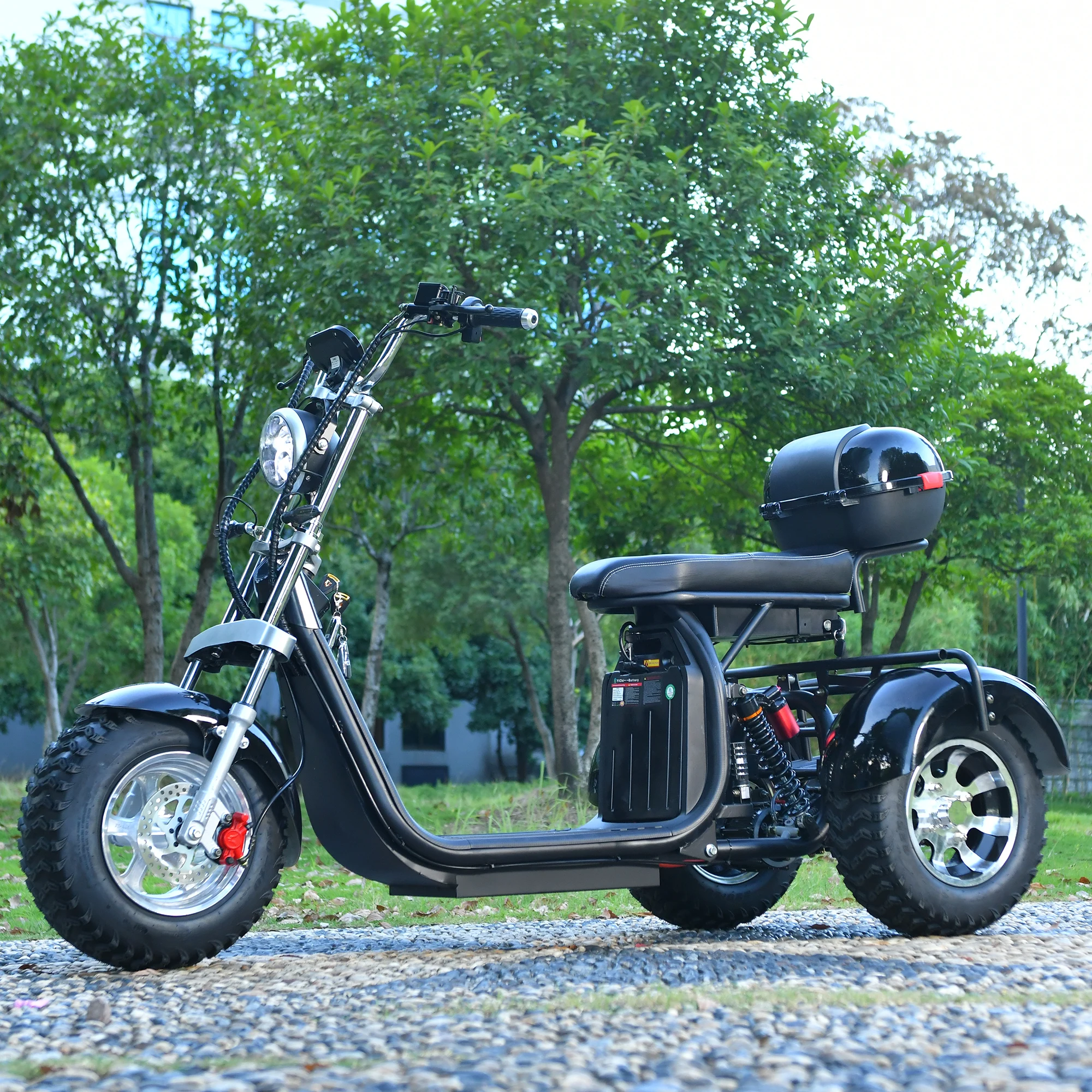 EU COC Is Legally On The Road Adult Electric tricycle 2000W Motor Max Speed 40-45KM/H Max Load 250KG 18 Inch Off road Fat Tire