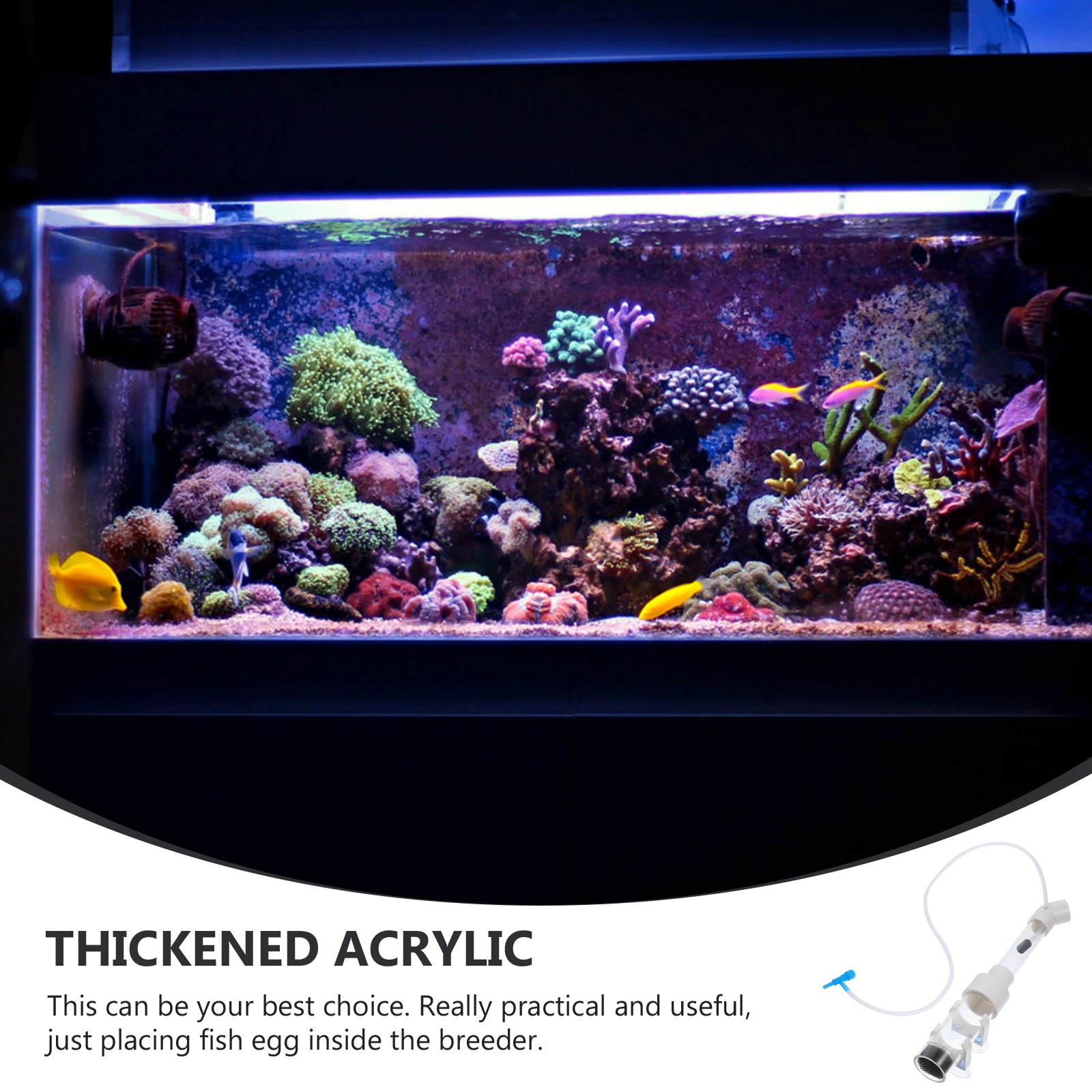 

1 set Fish Egg Incubator For Cichlid Breeding Ultra-Transparent Acrylic Hatching Tube 1Mm Sieve Plate Air Pump Compatible Smooth