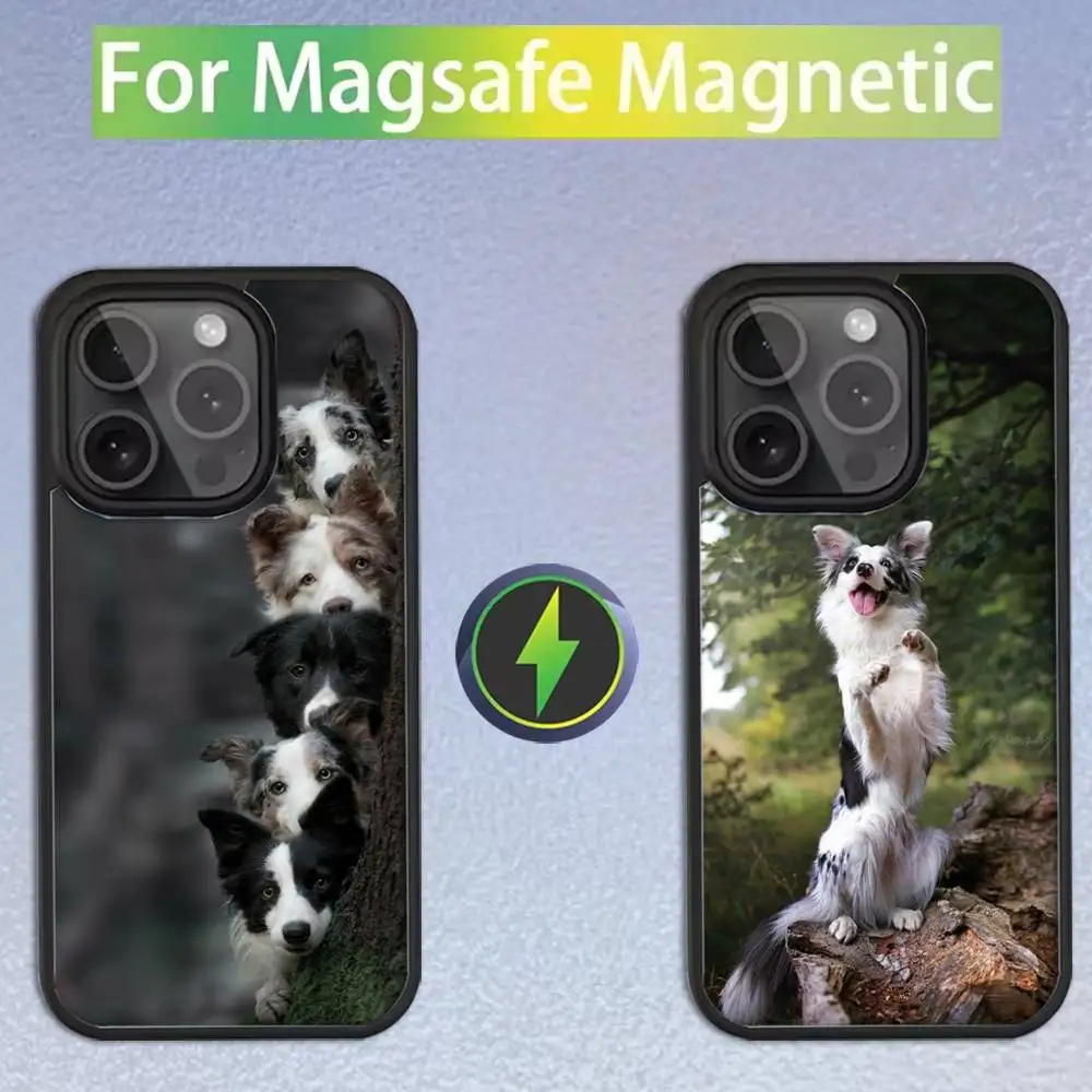 

Чехол для iPhone 11, 12, 13, 14, 15, 16, 17, Pro, Max, Plus, Mini, SE4, E с магнитным креплением для беспроводной зарядки MagSafe, с изображением милого бордер-колли