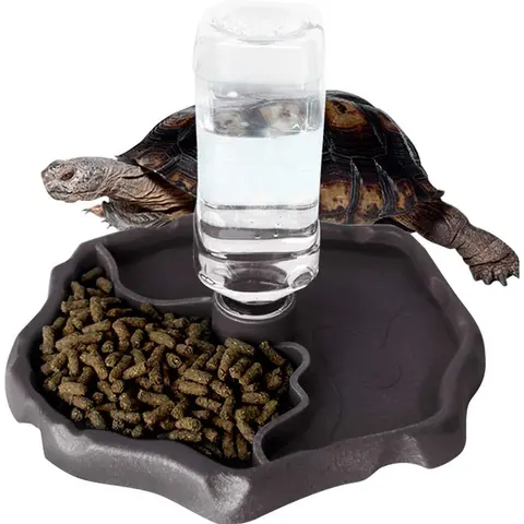 파충류 공급기 Waterer 자동 리필 거북이 물 디스펜서 병 거북이 음식 물 그릇 도마뱀 먹이 접시