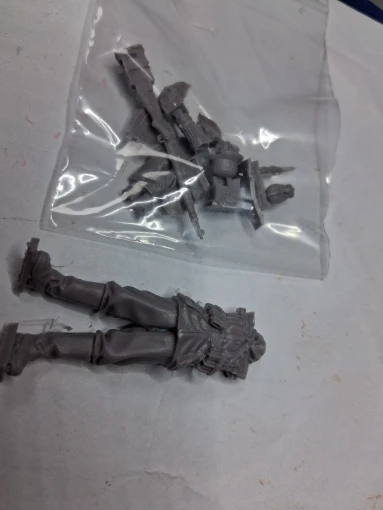Buyer photo of this resin kit