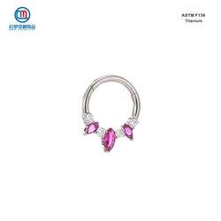 QM ASTM F136 Titanium Hinged Segment Hoop Nose Ring Clicker with Clear and Ruby Zircon Earrings Body Piercing Jewelry