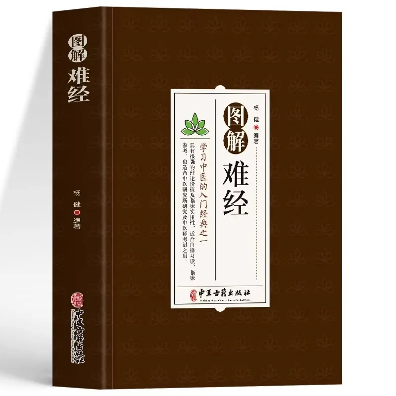 

Иллюстрация сложности меридианов, классическая диагностика пульса для начинающих в TCM, базовые театрализованности TCM