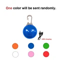 A random USB pendant