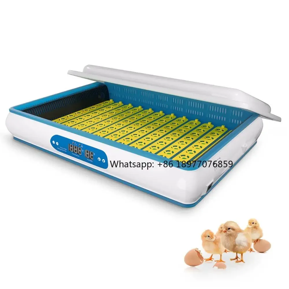 High Quality 720 Capacity Fully Automatic Nursery Chicken Egg Machine With Good Price