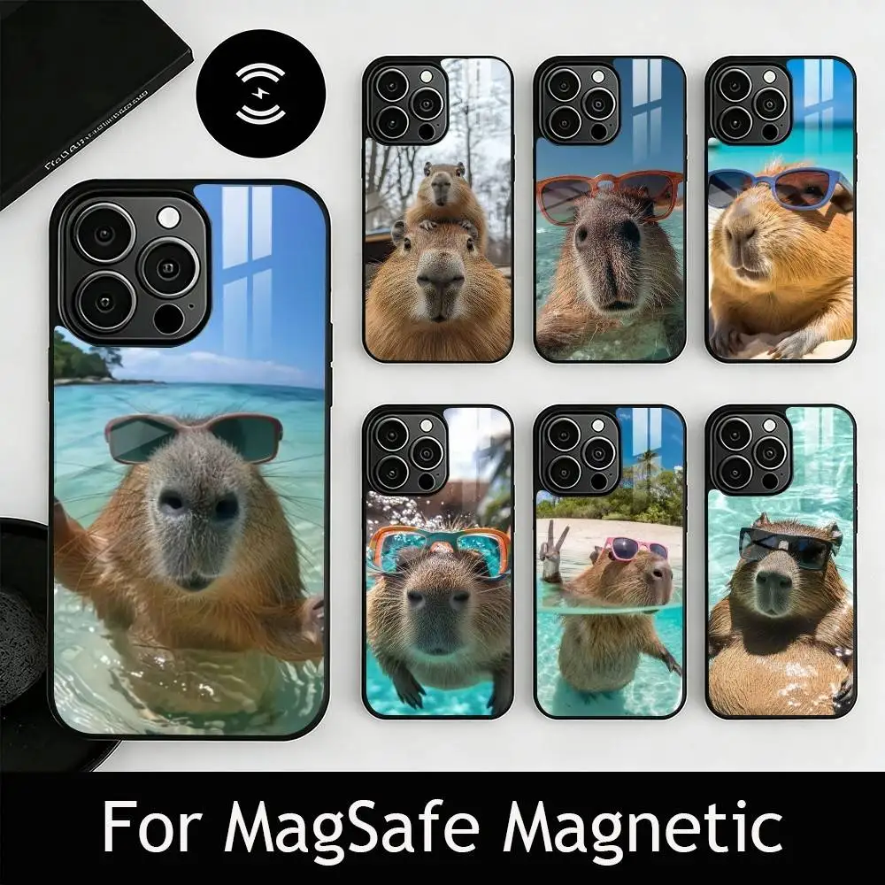 

Cute capybara Phone Case For iPhone17,16,15,14,13,12,11 Plus,Pro Magnetic with Magsafe Wireless Charging