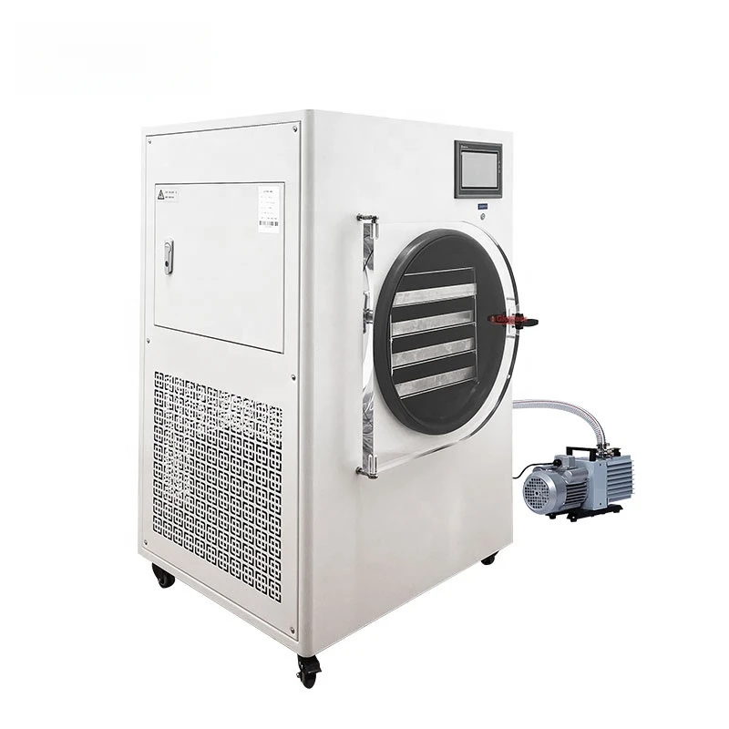 Small Vacuum Drying Lyophilizer Vegetable Fruit Meat Candy Home Freeze Dryer Machine