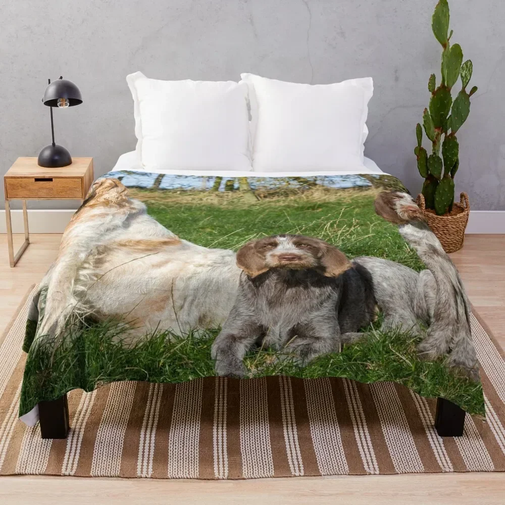 

Sunny afternoon Spinoni Throw Blanket All Season Lightweight Soft Blanket for Bed