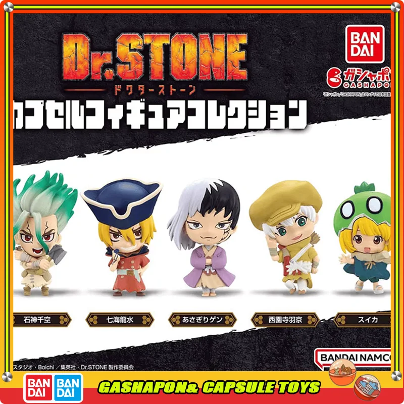 

BANDAI DR.STONE Action Figures Model Gashapon Asagiri Gen Senkuu Ryusui Ornaments Official Genuine