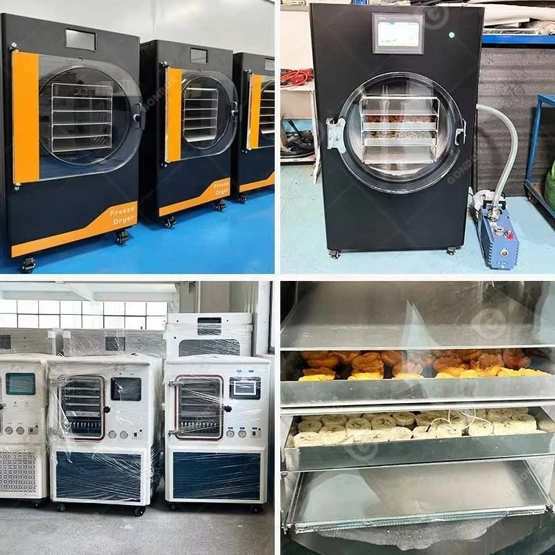 Small Freeze Drying Mini Liofilizador Dried Fruit Dryer Australia Home Dehydrator Dry Machine for Food