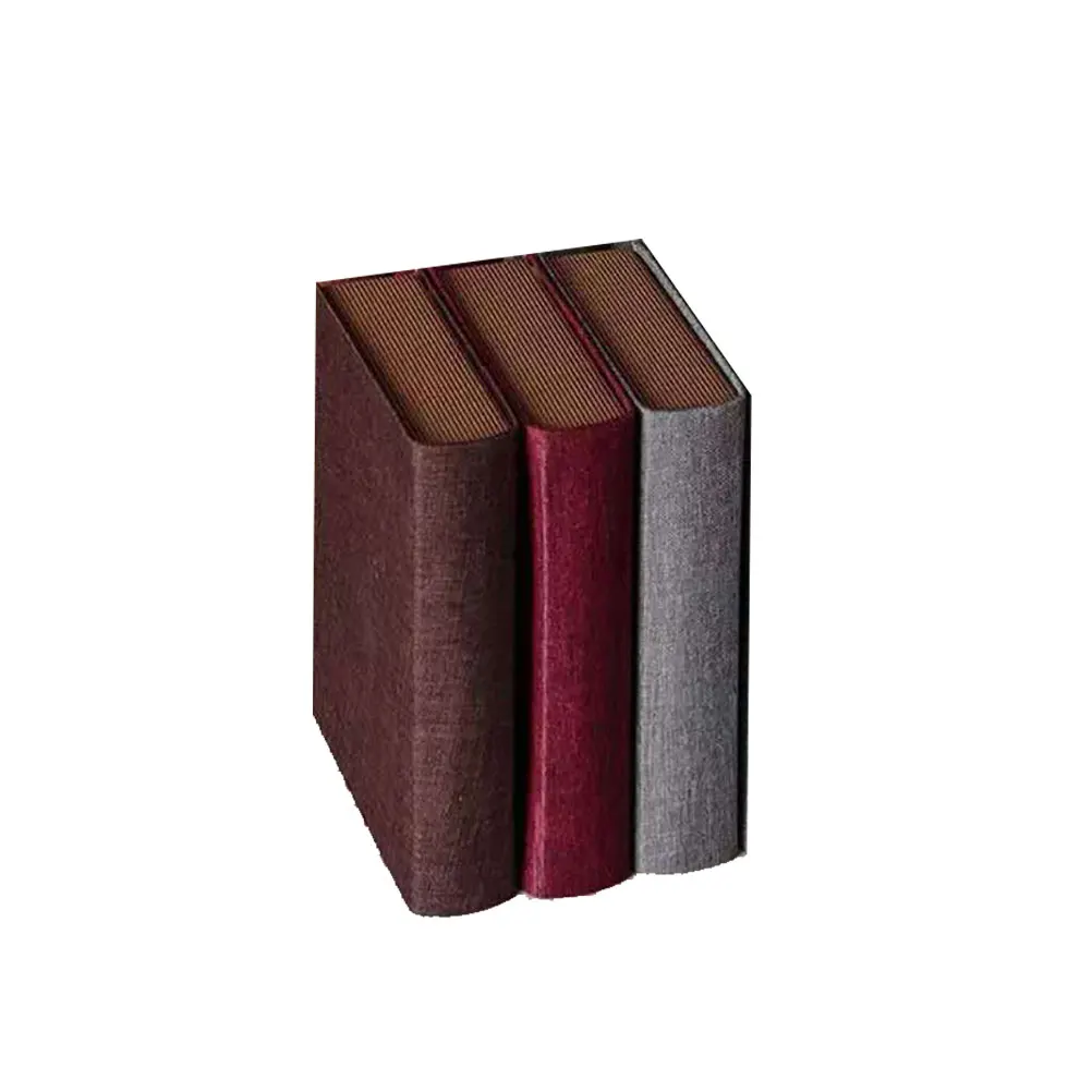 Рисунок 6 - имитация книжного реквизита