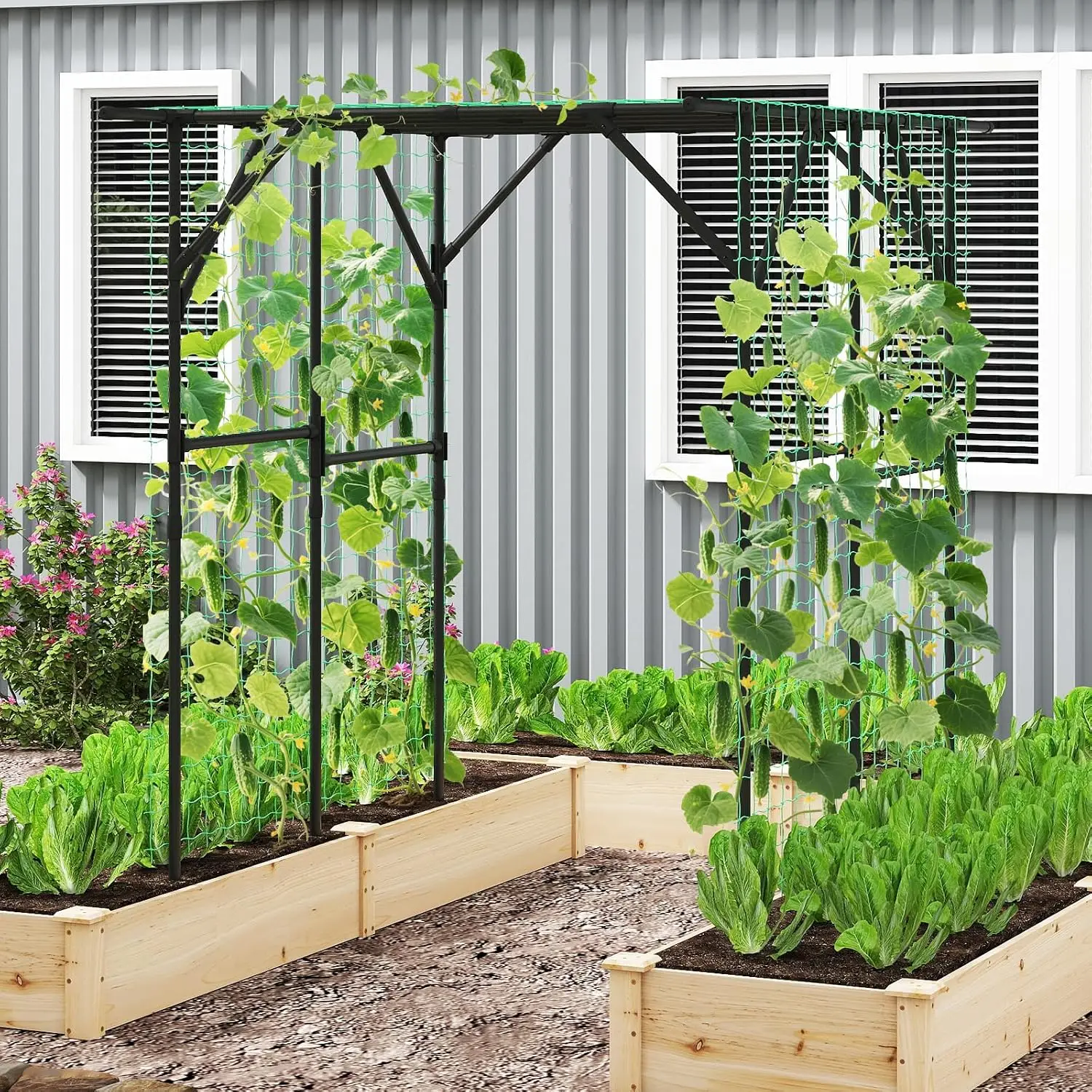 Outdoor Grape Vine Trellis for Climbing Plants, 79