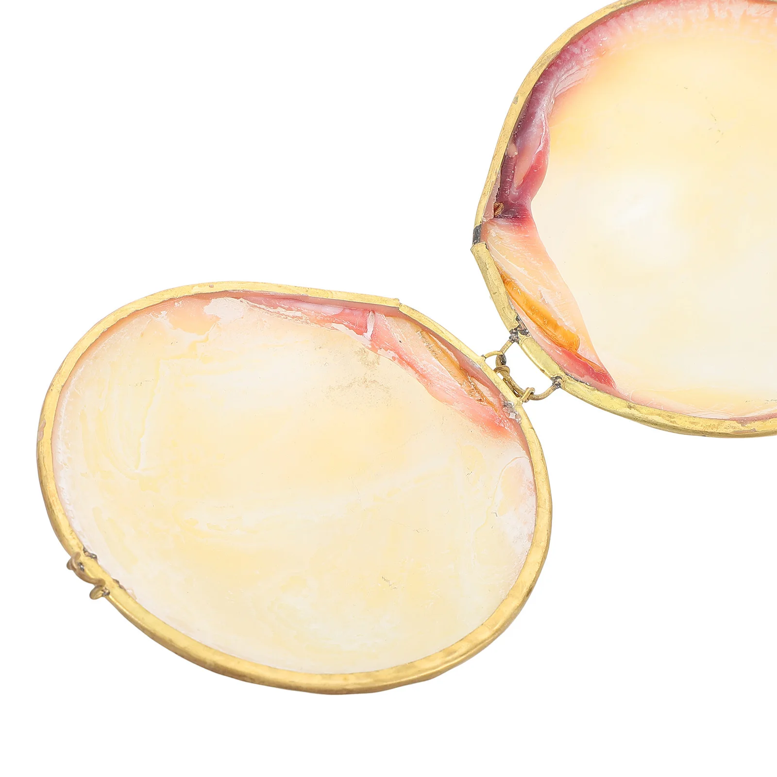 Tempat Perhiasan Kerang Laut Portabel Bergaya, Organizer Cincin Anting Kalung, Penyimpanan Perhiasan Dekoratif, Kenang-kenangan Perjalanan