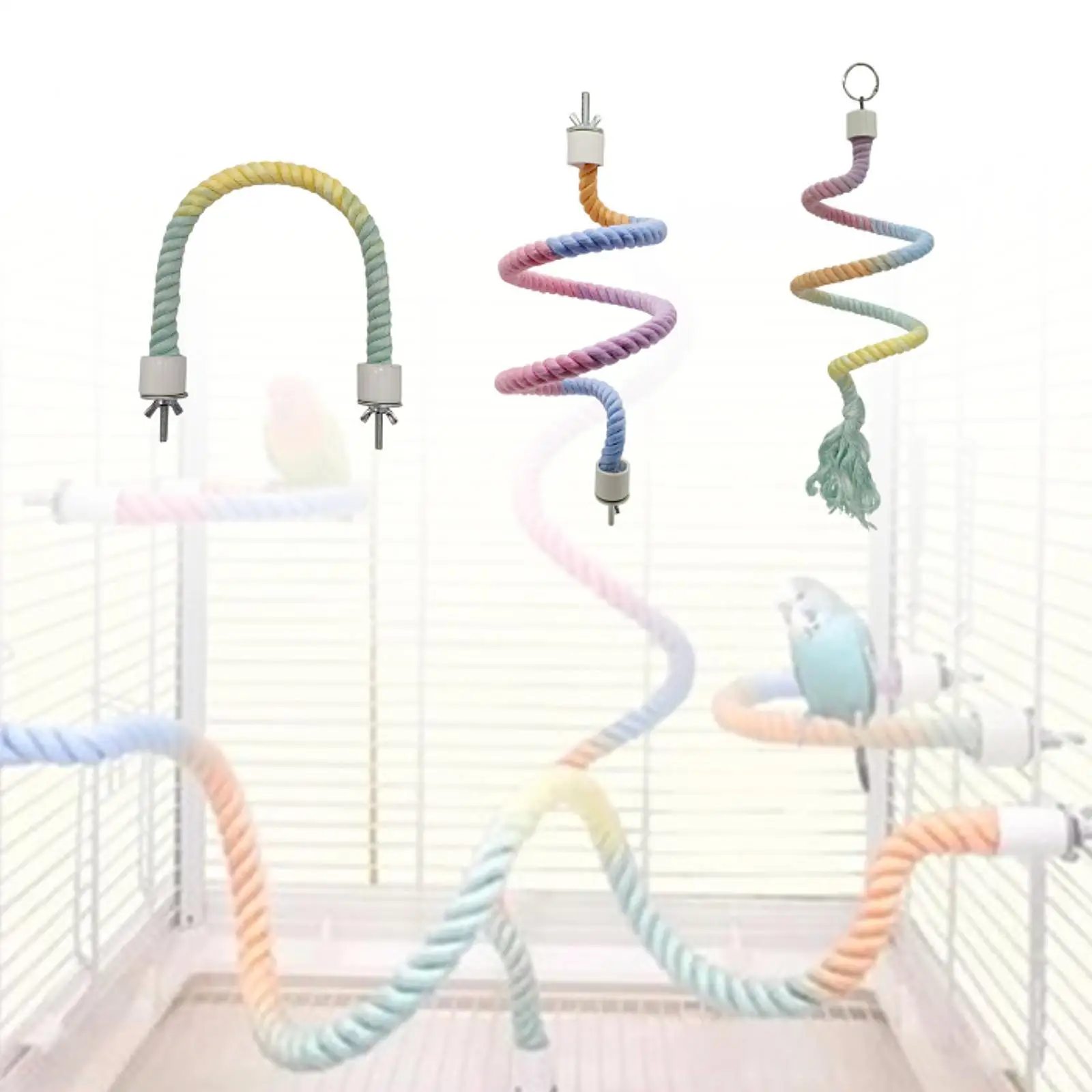 Bird Cake Parrot Swing Swing Rope Hang Parrot Parrot Squirrel