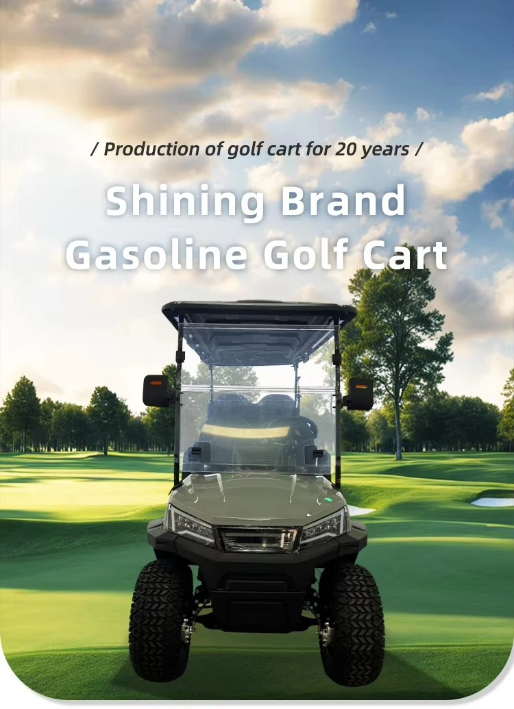 lsv IV Tour Gas Powered Golf Cart with 5kW Motor 4 Stroke Engine Aluminum Frame 5-6 Seats 90km Range