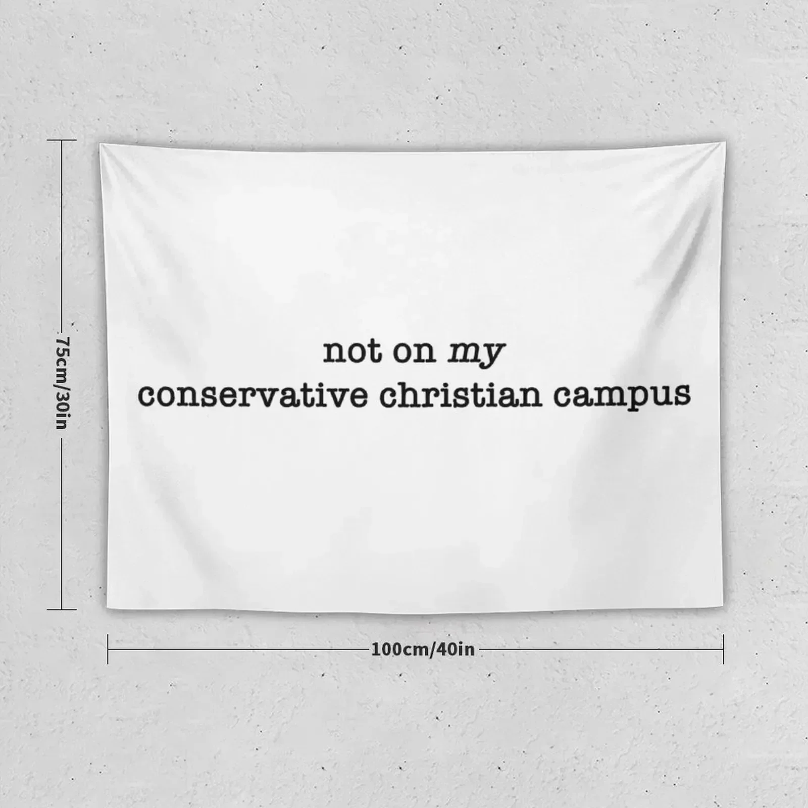 not on *my* conservative christian campus Tapestry Things To Decorate The Room Decoration Wall Tapestry