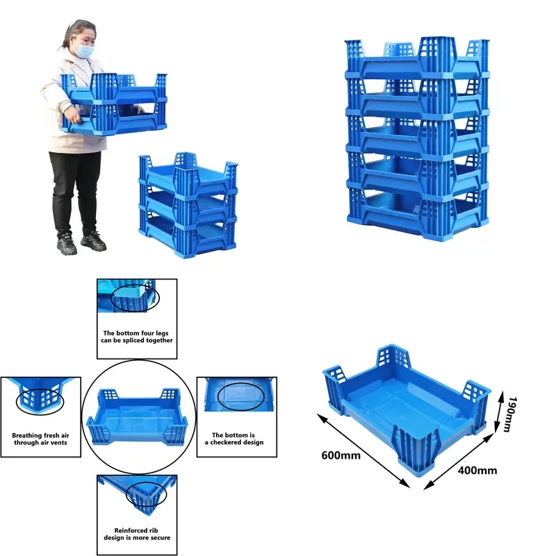 Custom Size PP Stackable Mealworm Breeding Box Insect Breeding Tray for BSF