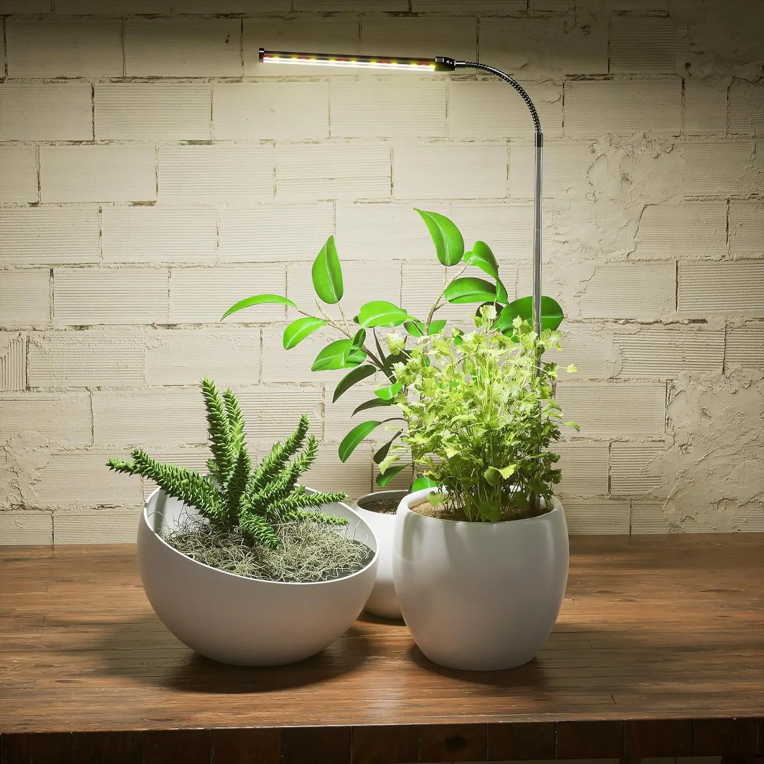 Light for Indoor Plants Growing 6000K Full Spectrum Gooseneck Plant Lamp for Seedings Succulents Small Plants 5 Dimming