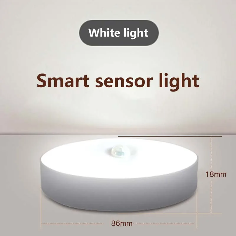 LED Smart Human Body Sensor Lamp Emergency  Automatic Night Light Sensor Wardrobe Lamp Entrance Stair Lamp USB Charging