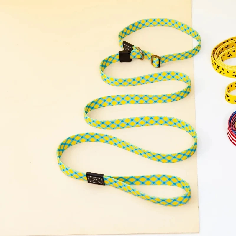 P Chain Large Dog Leash Slip Collar Pet Walking Lead Explosion Proof for Big Dog Climbing Rope Comfortable Dog Leash