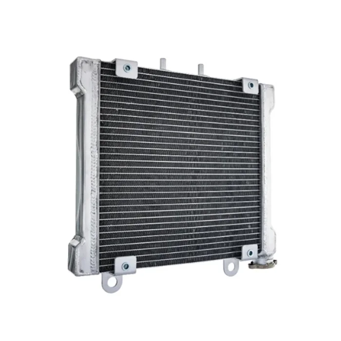 

Radiator Assembly For BRP 2000 BOMBARDIER DS650 DS 650 Radiator OEM 709200019 ATV UTV Spare Parts