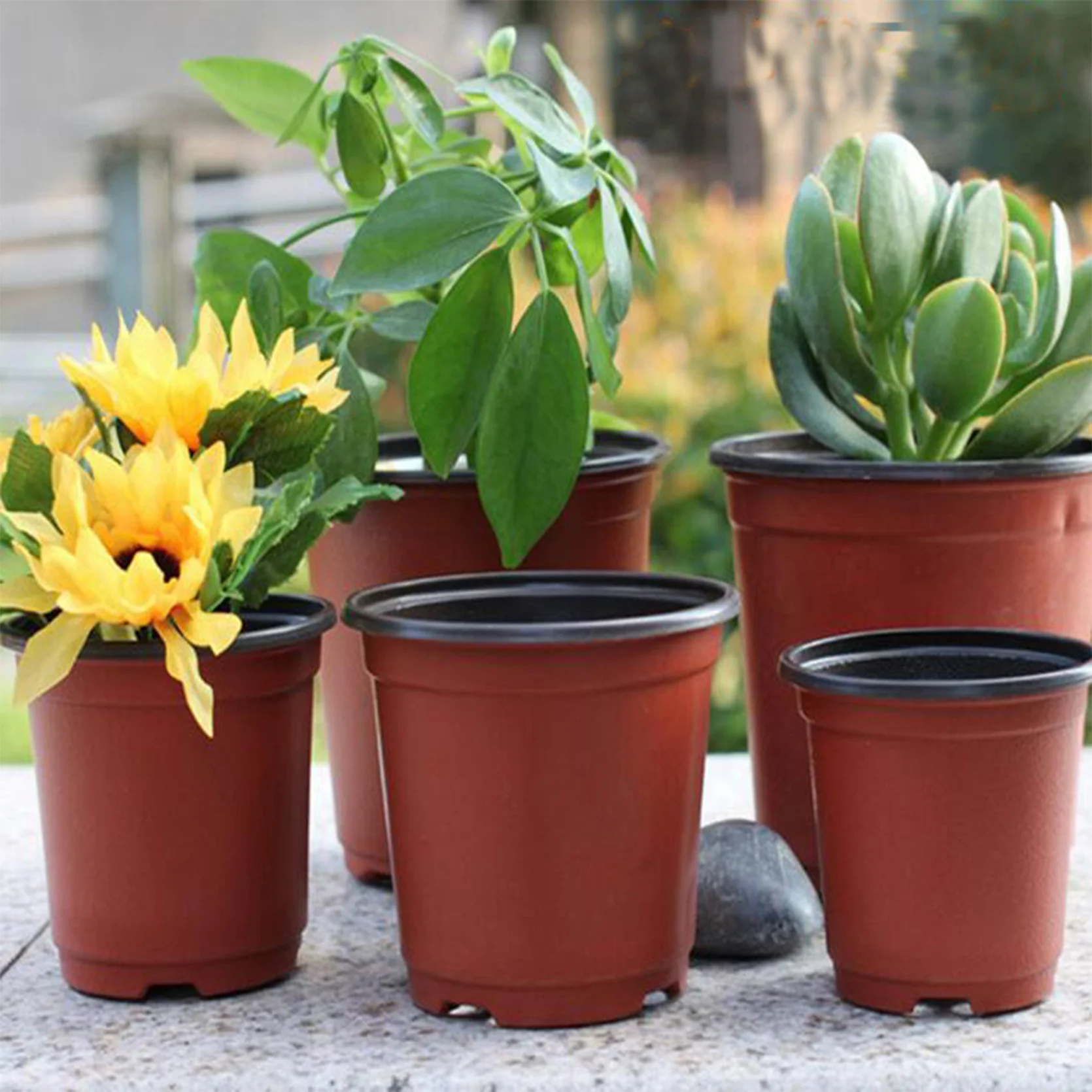 

Inch Nursery Pot Seedling Pot Plant Container Seed Starting Pots Multipurpose Plastic Pots 100 Packs