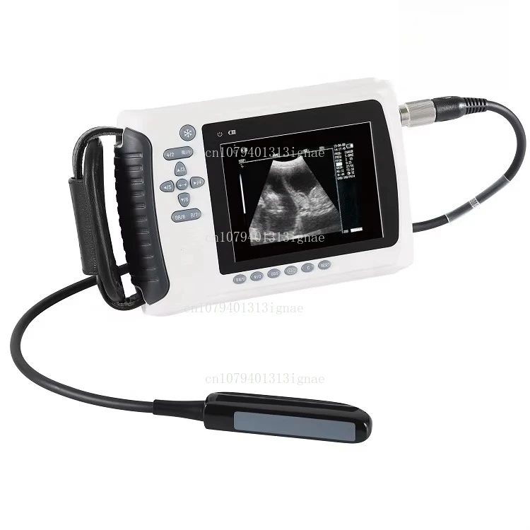

Equipment Notebook Portable Black & White Ultrasound Scanner Handheld Pet Ultrasound