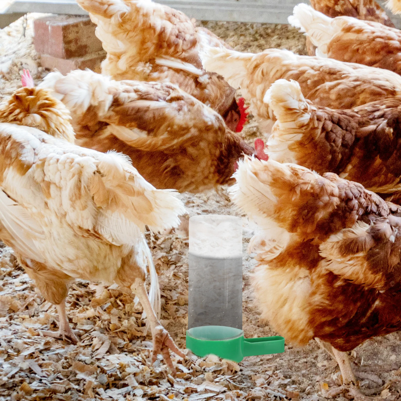 

1pcs Automatic Chicken Feeder Waterer for Brooder Poultry Duck Baby Chick Supplies Hanging Bird Food Container Easy Clean Space