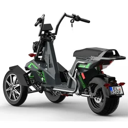 Electric Passenger Tricycle Rooder EEC 3 Wheel Electric Scooter Electric Motorcycle 2000W 3000W Motorcycle