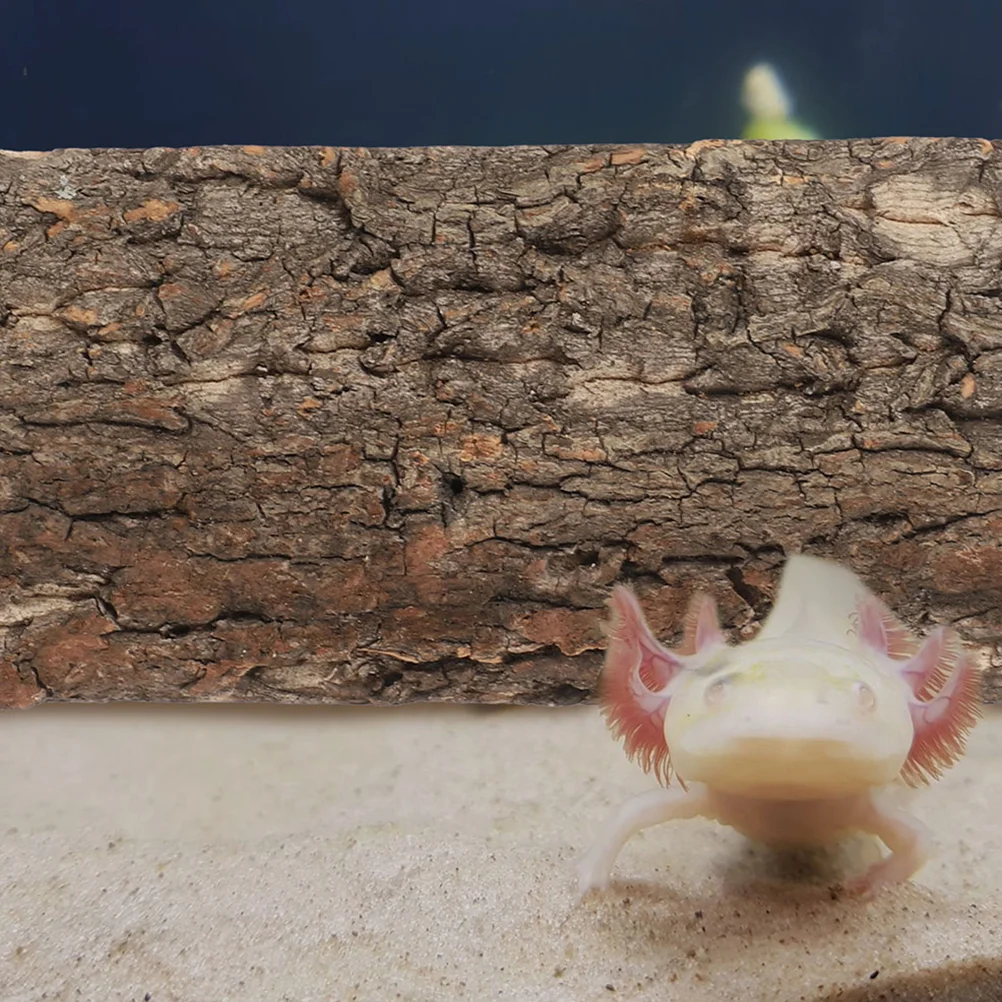 Accesorios para terrario de animales, paisajismo de pecera para mascotas, fondo de reptil de araña para tableros, acuario decorativo de corteza