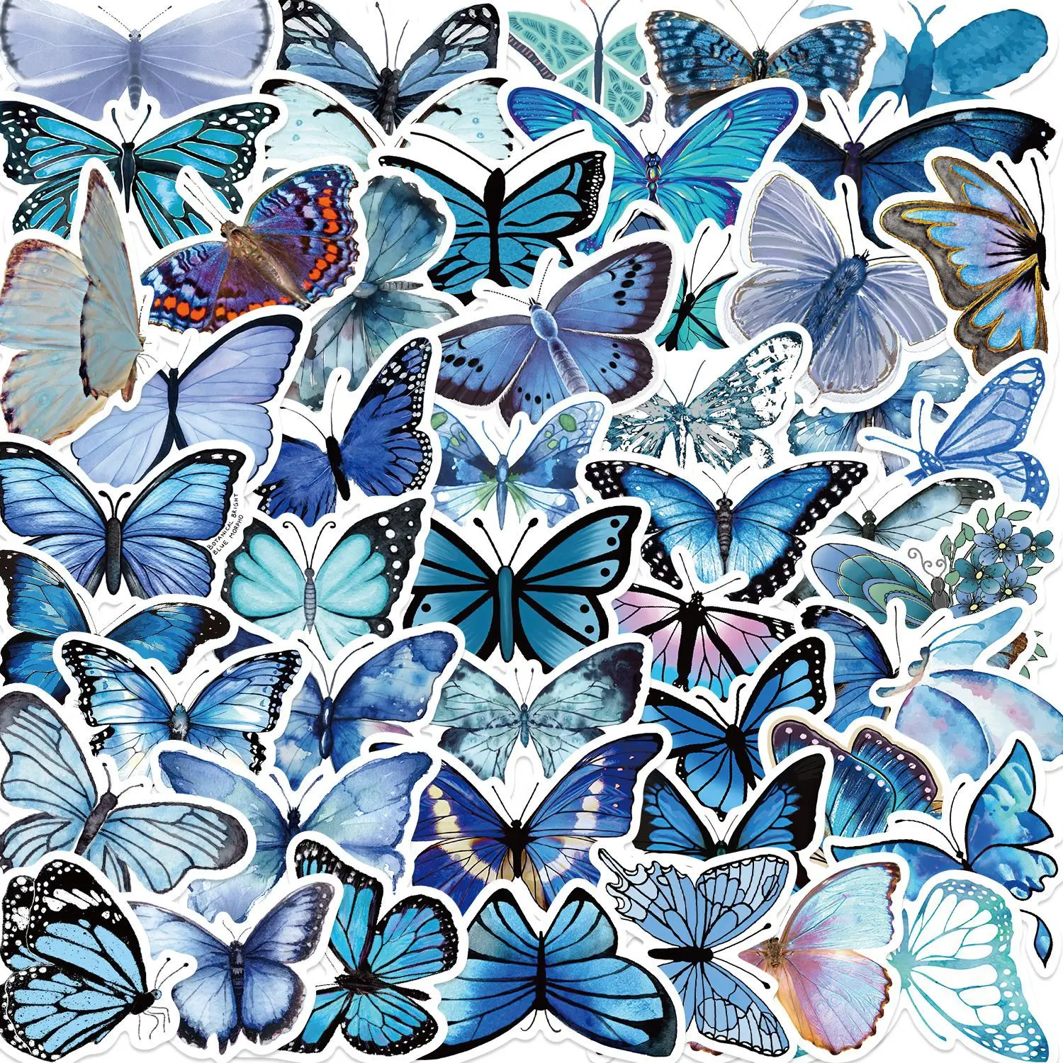 50pcs Blue Butterfly Cartoon Graffiti Stickers Phone Guitar Laptop Notebook Suitcase Water Bottles Waterproof Sticker Gift