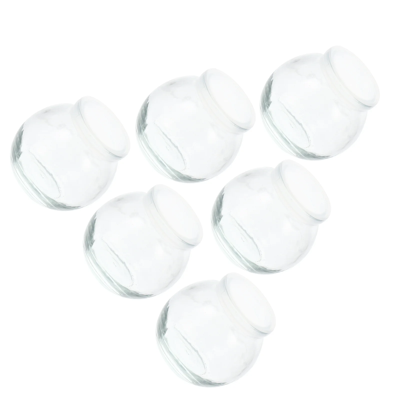 

6Pcs Glass Pudding Bottles with Lids Reusable Yogurt Holders for Milk Juice Storage and Travel Pudding Bottles