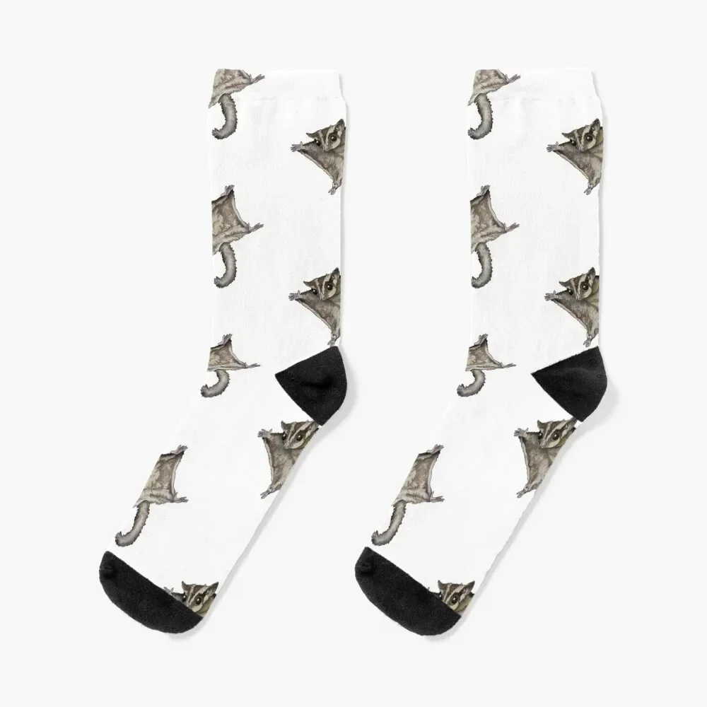 

Flying Sugar Glider Socks christmas gifts Lots Men's Socks Luxury Women's