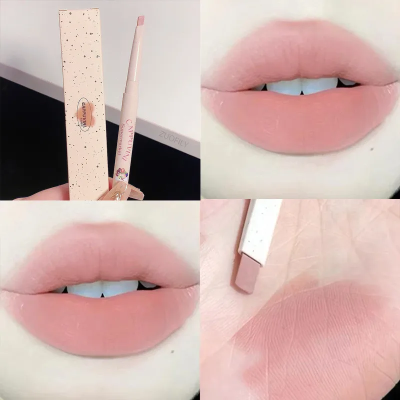 Stylo à Lèvres en Velours pour Maquillage Labial Carimplanté, Produit Cosmétique Durable, Rouge, Rose, Étanche, 256