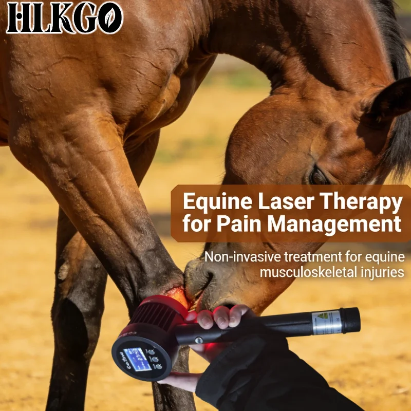 

Профессиональное лазерное оборудование для лошадей, 650 нм и 808 нм, двойная длина волны, для глубокого восстановления тканей при воспалении суставов у лошадей