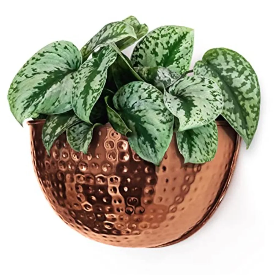 

Metal Wall Planter Indoor or Outdoor Hanging Plant Pot Farmhouse Decor and Boho Kitchen Decoration for Herbs and Succulents and