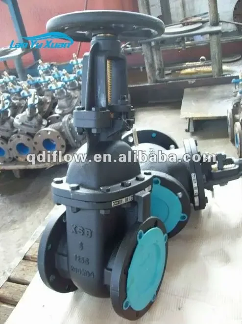 MSS SP-70 CLASS 125 OS&Y صمام بوابة حديدية مصبوب صمام صيني مباشرة #6