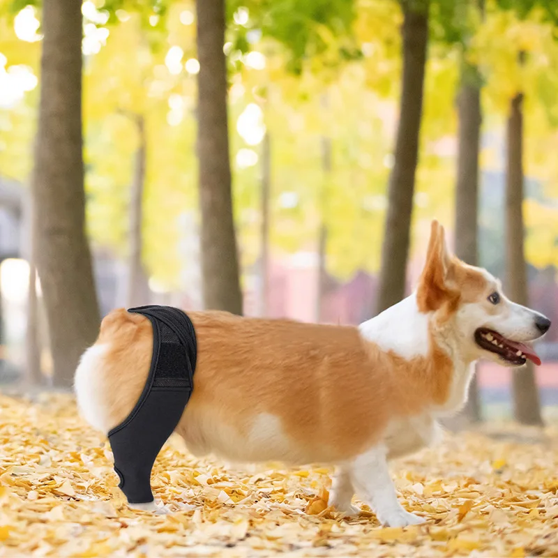 Pet Dog Leg Wrap Support Brace Knee Pads Injury Recovery Joint Protector Cover