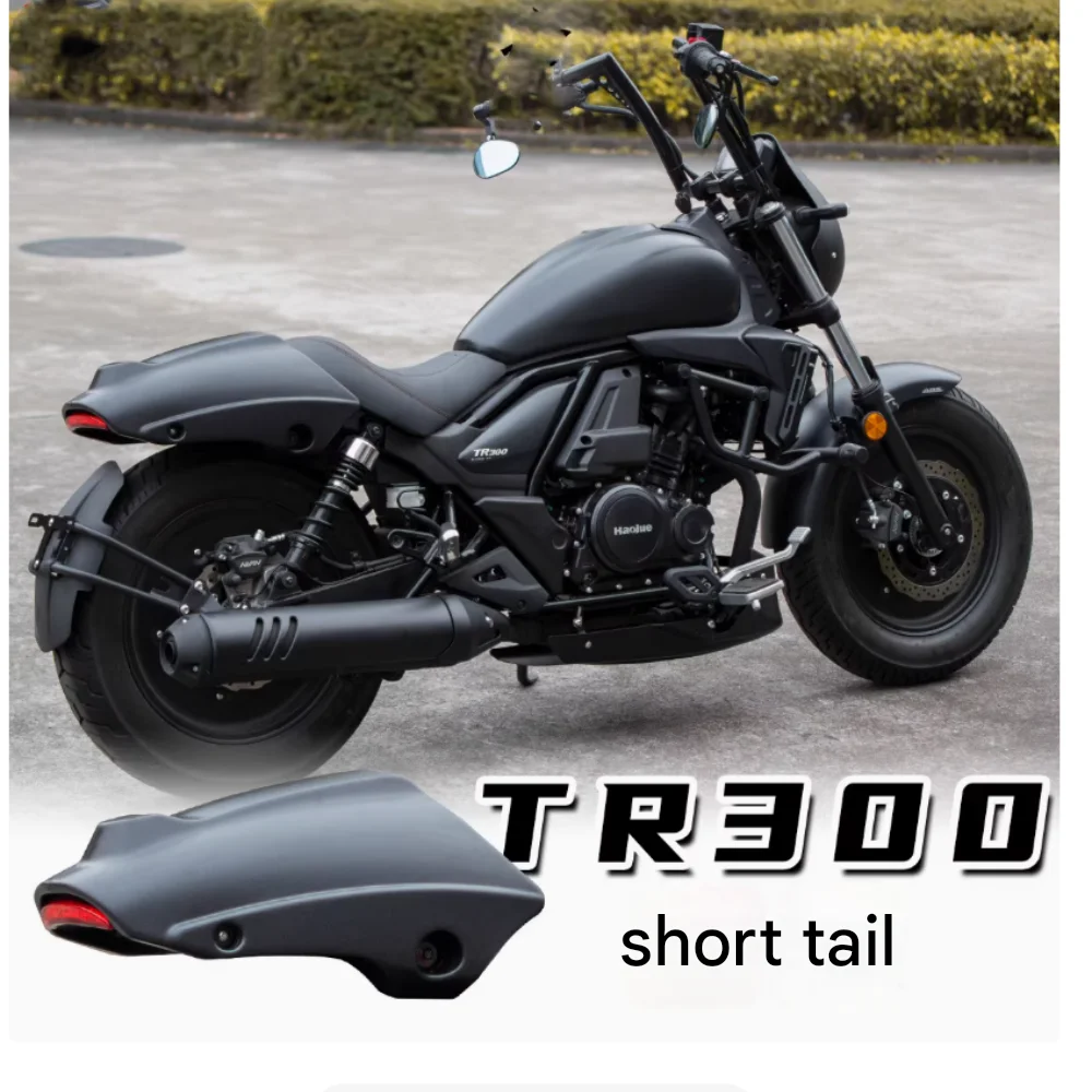 Applicable to Haojue TR300plus Modified Short Tail Rear Mud Tile Accessories Fender with Three-in-One Turn Signal Taillight