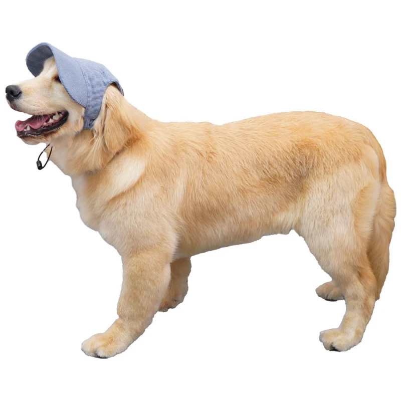 Large Dog Hat Border Collie Samoyed Husky Labrador Golden Retriever Belgian Malinois Dobermann Big Dog Caps sunhat