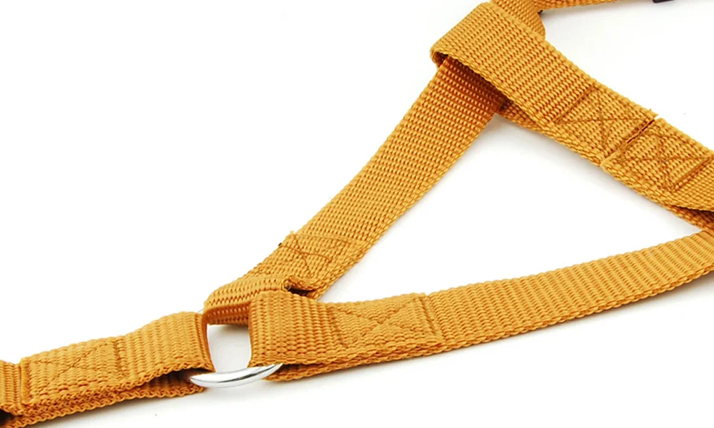 Dog Harness Leash Pet Products Adjustbale Dot Printed Harness and Leash Outdoor Walkding for Large Dogs