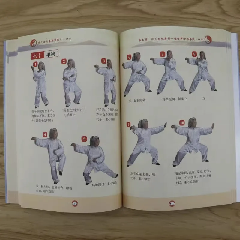Chen's Tai Chi, A Traditional Chinese Martial Arts Technique Chart, A Basic Tai Chi Skill Tutorial, Tai Chi Martial Arts Secrets