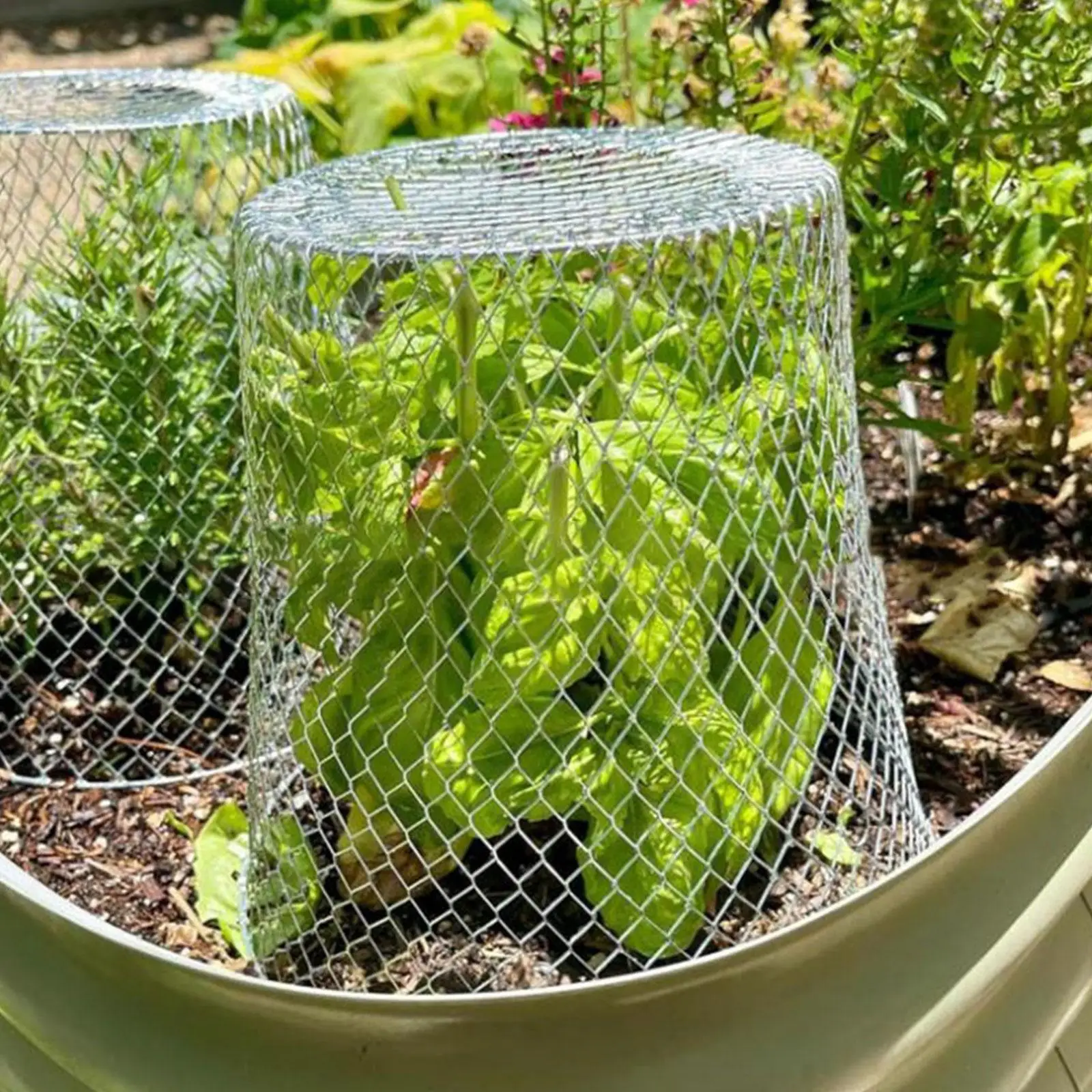 

Легкий и прочный сетчатый чехол для растений из железа, многоразовый, для защиты растений в саду