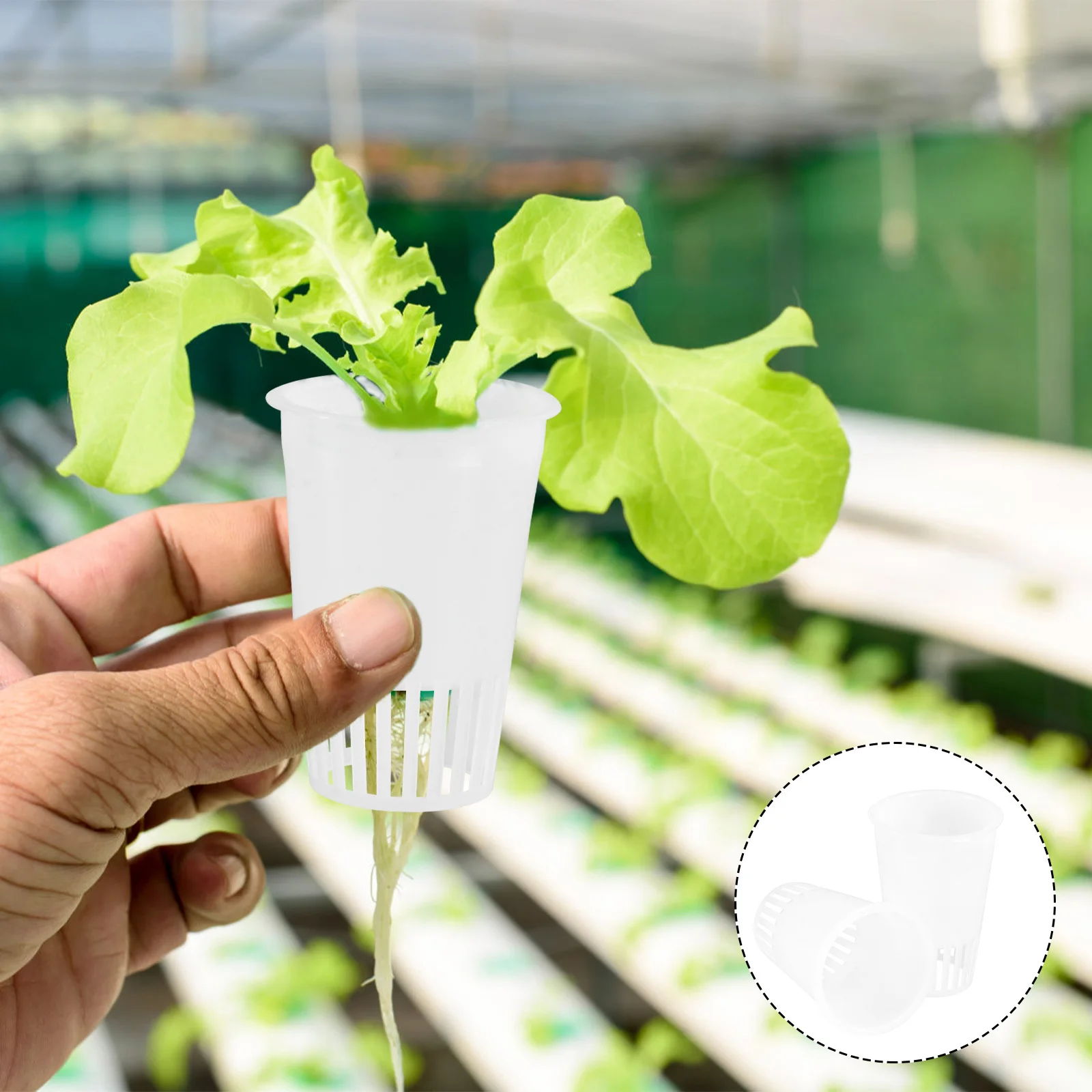 

30Pcs Planting Basket for Hydroponic Culture Pots Soilless Cultivation Garden Greenhouse Growing Vegetables Root Protection