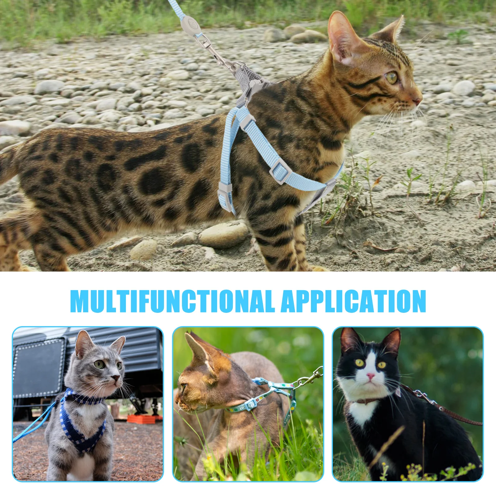 

Kitten Harness Leash Set Stylish Fashionable Cat Leash Smooth Angle Enjoy Sturdy Durable Adjustable Length Polyester Small Belt